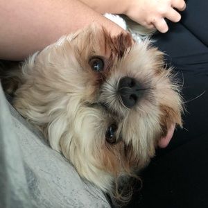 Meet your Posher, Alexis